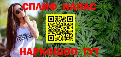 сатива Обь