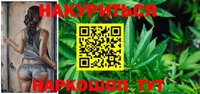 прущие грибы Обнинск