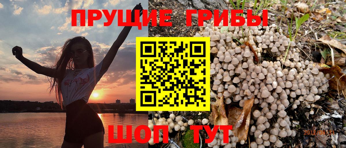 Псилоцибиновые грибы GOLDEN TEACHER  Вход с VPN  купить закладку  Спасск-Дальний 