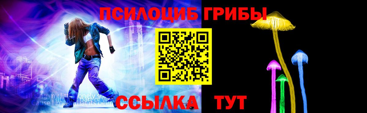 Псилоцибиновые грибы Psilocybe Спасск-Дальний